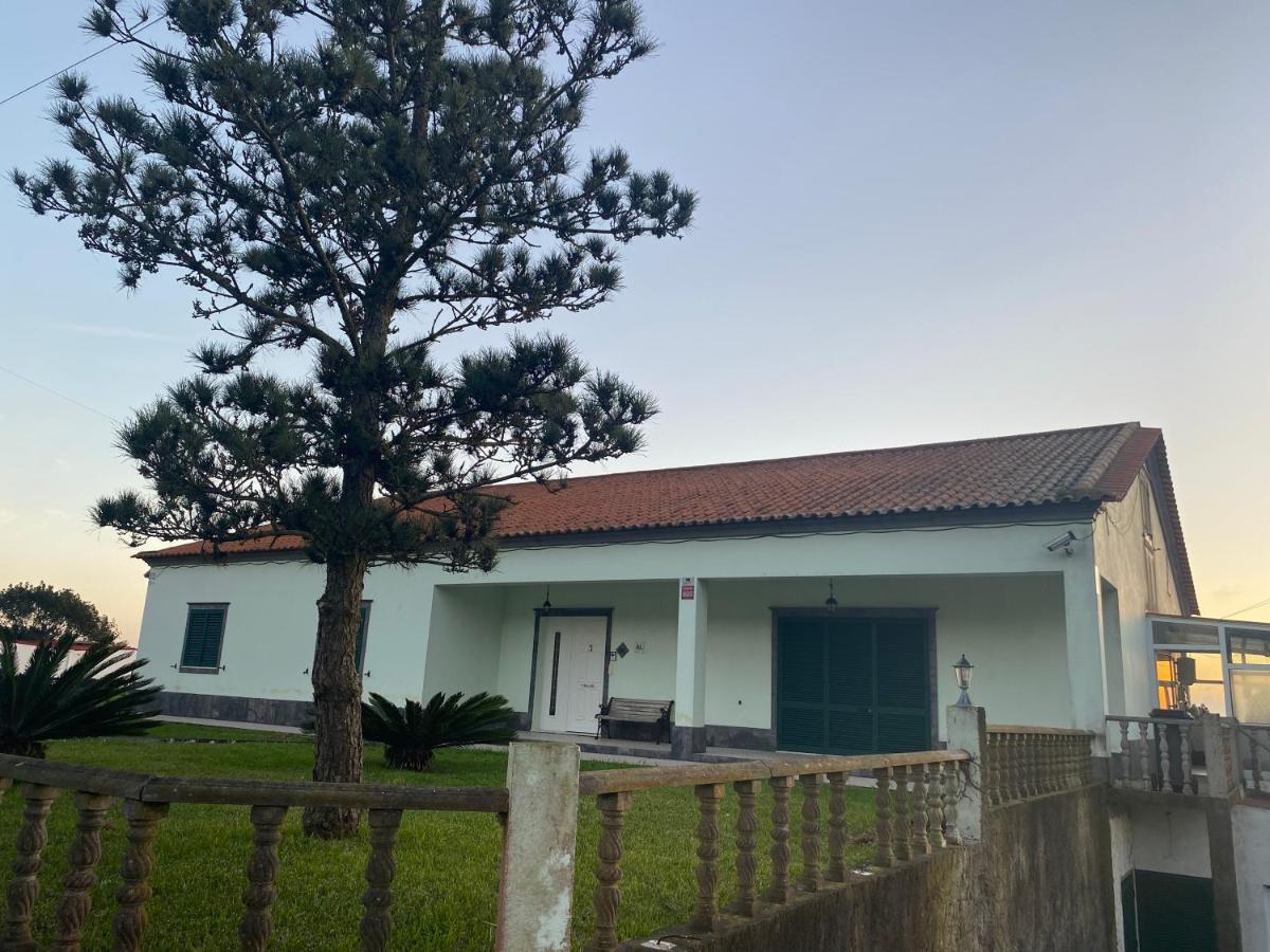 Green Tropical House Ponta Delgada Exterior foto